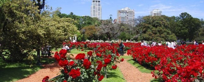El Rosedal de Palermo entregará esquejes de rosas gratis durante la poda invernal